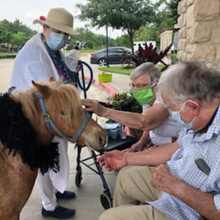 Elderly individuals interacting with a miniature therapy horse outdoors, following pandemic safety measures.