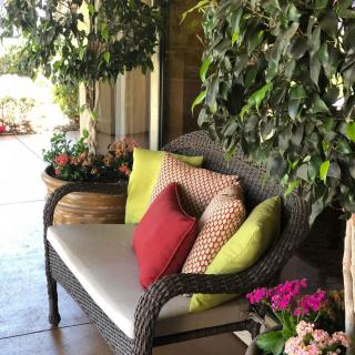 A cozy patio with a cushioned bench surrounded by plants.
