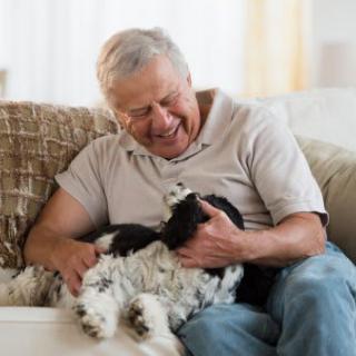 A senior man smiling while petting his dog on the couch.