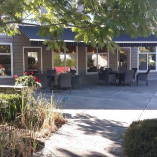 A sunny outdoor patio area with chairs and tables shaded by trees.