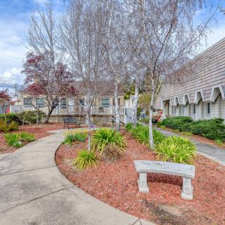 A peaceful garden with a winding pathway lined by trees and a stone bench.