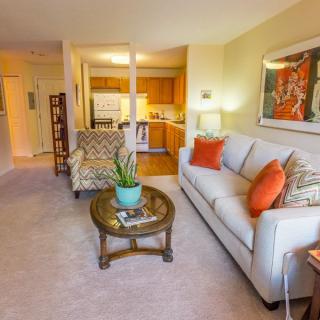A modern living room with a cozy sofa, colorful cushions, and an adjacent open kitchen.