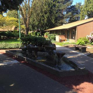 A serene outdoor setting featuring a fountain surrounded by greenery and a building in the background.