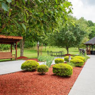A serene park area featuring well-maintained bushes and pathways, perfect for a leisurely stroll.