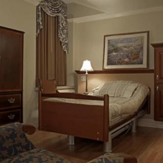 A cozy room with a hospital bed, lamp, and framed painting.
