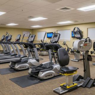 A fitness center featuring various exercise machines including treadmills and ellipticals.