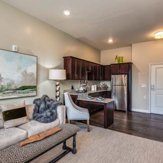 A modern open-plan living room and kitchen with stylish furniture and decor.