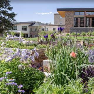 A beautiful garden with colorful flowers in front of modern buildings.