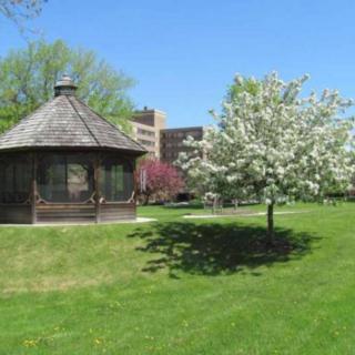 A scenic park view with a gazebo and blossoming tree under a clear blue sky.