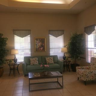 A cozy living room area featuring a green sofa, patterned armchair, and decorative plants.