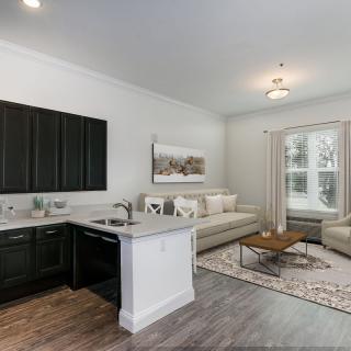 A modern open-concept living room and kitchen with sleek furniture and bright lighting.