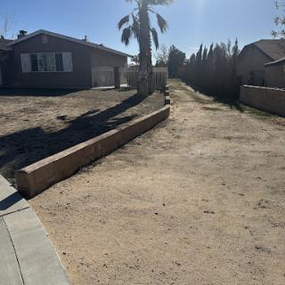 A sunny residential area featuring a dirt pathway and a palm tree.