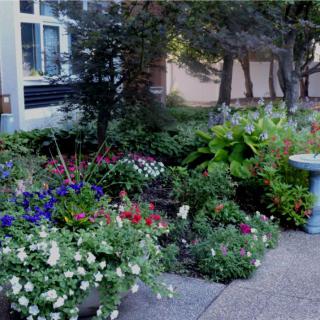 A lush garden with a variety of colorful flowers and plants next to a patio.
