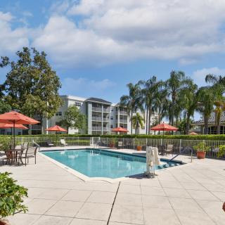 An inviting outdoor swimming pool area surrounded by palm trees and residential buildings, featuring lounge chairs and umbrellas for relaxation.