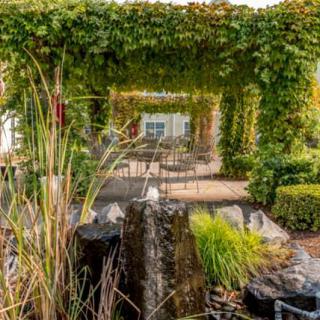 A serene garden with a lush pergola and a cascading water feature.