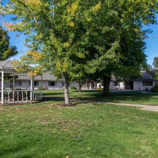A tranquil outdoor scene featuring a gazebo, lush green grass, and trees under a clear blue sky.