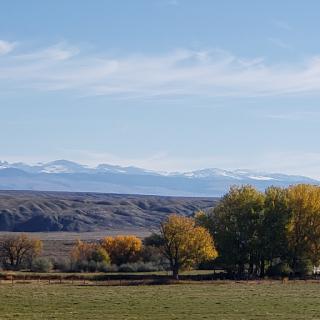 A serene autumn landscape featuring colorful trees in the foreground and snow-capped mountains in the distance under a clear blue sky.