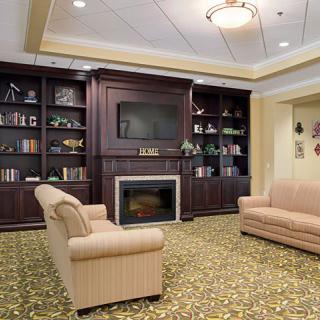 Cozy living room with a fireplace and built-in bookshelves.