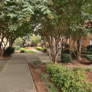 A serene outdoor path lined with trees and greenery.