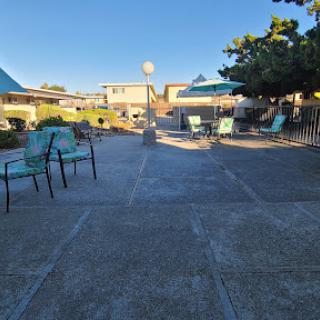 A serene poolside area with lounge chairs under a clear blue sky.
