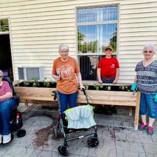 A group of elderly individuals enjoying a community gardening activity together.