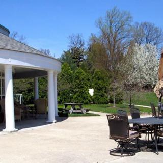 A sunny outdoor patio with chairs and tables surrounded by greenery.