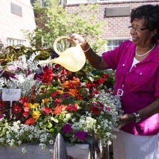 A woman watering a colorful array of flowers outdoors.