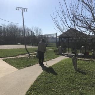 A person walks on a pathway through a sunny park area with grassy fields and trees.
