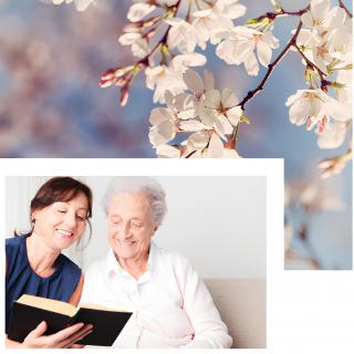 A woman and an elderly person share a moment reading a book, with cherry blossoms in the background.