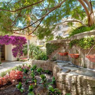 A tranquil garden featuring vibrant flowers, a stone wall, and lush greenery under the dappled sunlight.