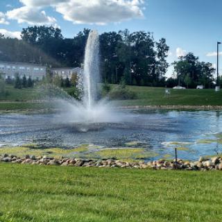 A beautiful fountain spraying water in a serene pond surrounded by lush grass and blue skies.