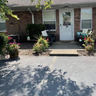 A cozy brick house entrance decorated with plants and flowers under the sunlight.