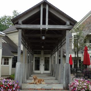 A wooden canopy structure with a dog resting beneath, surrounded by a patio and flowers.