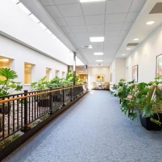 A well-lit indoor hallway adorned with potted plants and office spaces on either side.