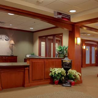 A welcoming reception area with wooden finishes and decorative plants.