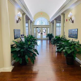 A beautifully designed hallway featuring elegant lighting and lush plants, leading to a large entrance.