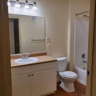 A modern bathroom featuring a sink with a mirror, a toilet, and a shower.