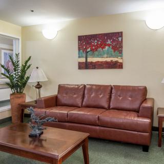 A cozy living room with a leather sofa, coffee table, and decorative elements.