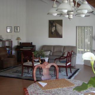 A cozy living room with a sofa, chairs, and a table arranged around a patterned rug. A bookshelf stands against the wall, and a plant adds a touch of greenery.
