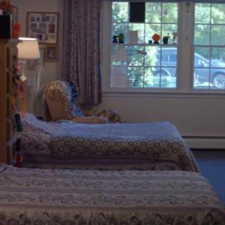 A cozy bedroom with two neatly made beds near a large window allowing daylight in.