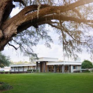 A picturesque view of a house surrounded by lush greenery and a large tree.