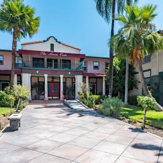 A large mansion with a spacious driveway, surrounded by palm trees and a well-maintained garden.