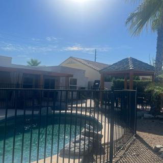A sunny day by the outdoor pool with a surrounding fence and a palm tree.