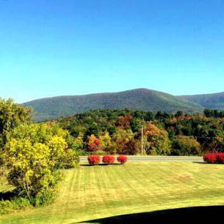 A scenic view of a grassy field with colorful trees and distant mountains under a clear blue sky.