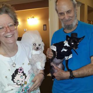 A smiling couple holding their dogs dressed in costumes indoors.