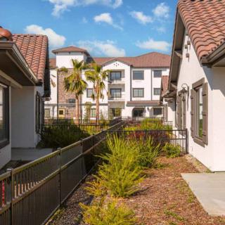 A scenic view of modern residential apartments with well-maintained landscaping and a clear blue sky.