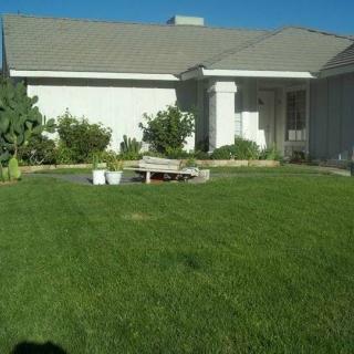 A suburban house with a well-maintained front lawn and garden.