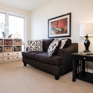 A cozy living room with a dark sofa, patterned cushions, and stylish decor.