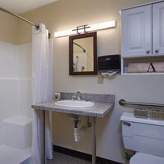 A well-lit, accessible bathroom featuring a sink with a mirror, toilet, shower area, and storage cabinet.