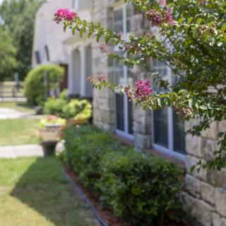 A stone house with a garden featuring blooming flowers and green shrubs.
